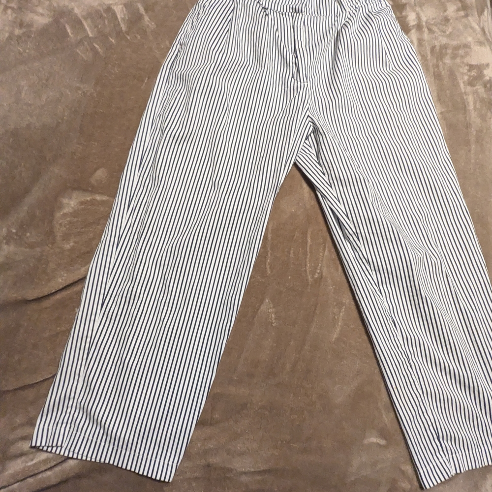 Zara Navy and White Striped Pants